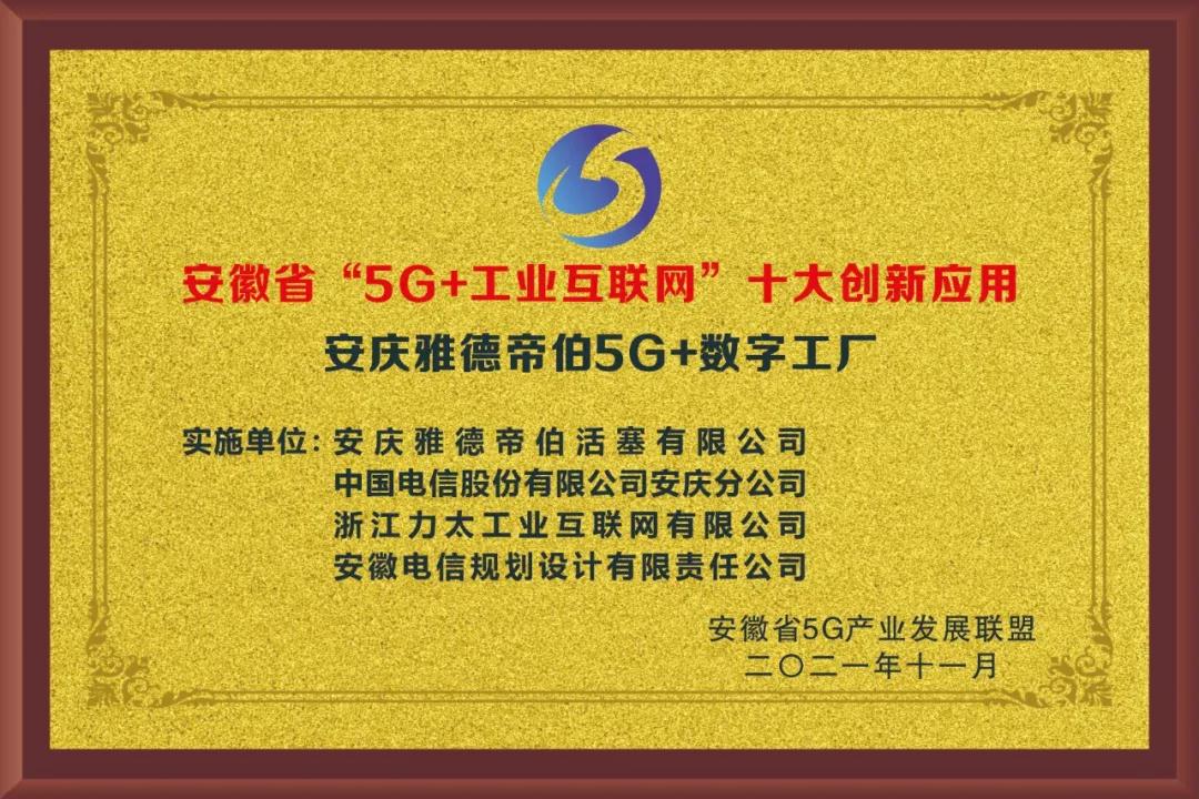 安庆雅德帝伯5G+数字工厂