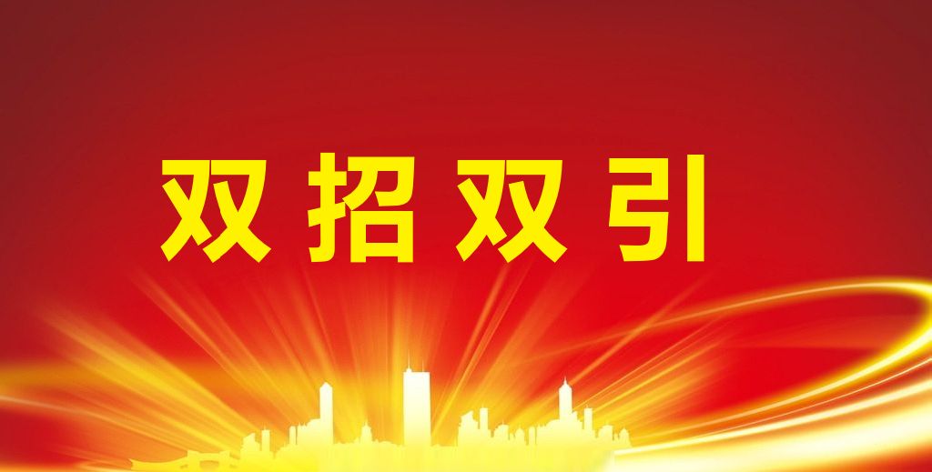 安徽省产业专班赋能“双招双引”