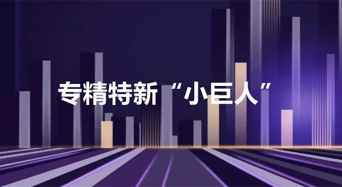安徽省第五批“专精特新板”企业挂牌仪式在合肥举行