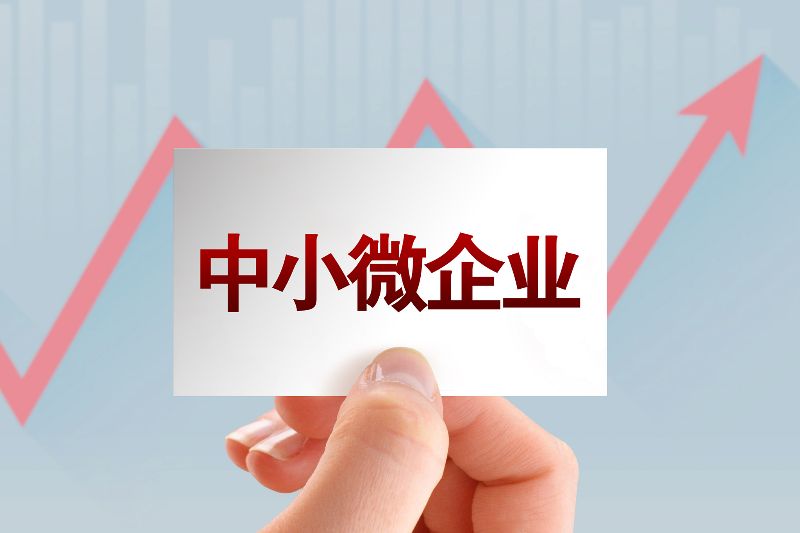 支持中小微企业和制造产业的相关举措
