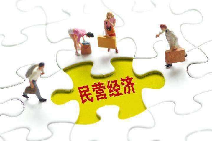 大力促进民营经济发展的若干意见实施细则
