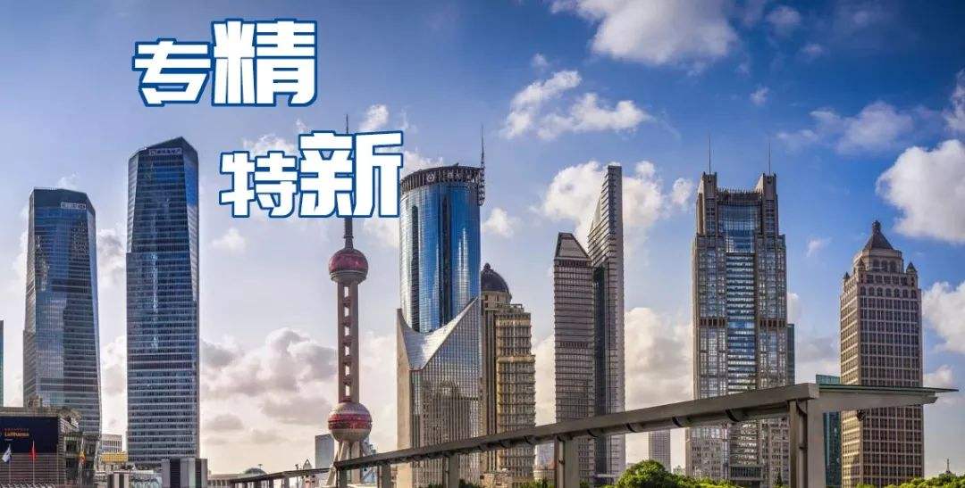 2021年度安徽省“专精特新”中小企业名单