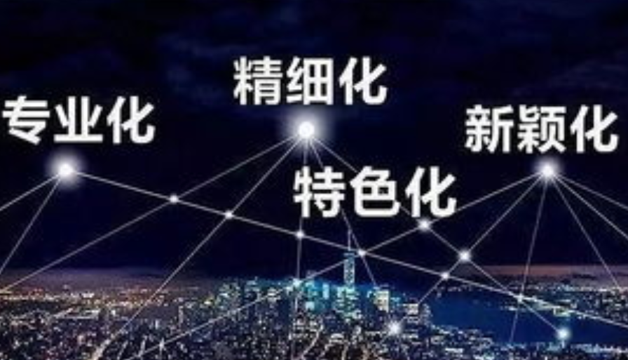 如何确定“专精特新”中小企业能享受哪些政策支持