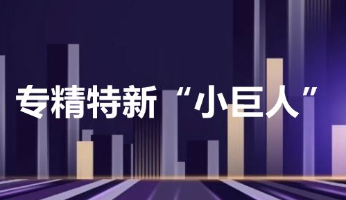 锚定专精特新 “小巨人”也能“大创新”