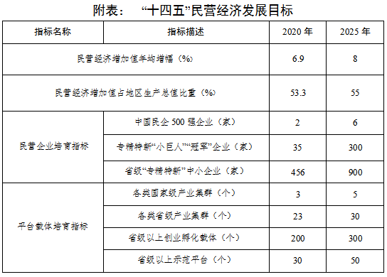 “十四五”民营经济发展目标