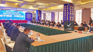 铜官区重点招商引资项目集中签约3