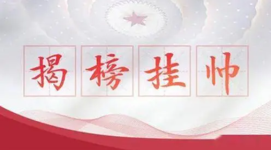 揭榜挂帅