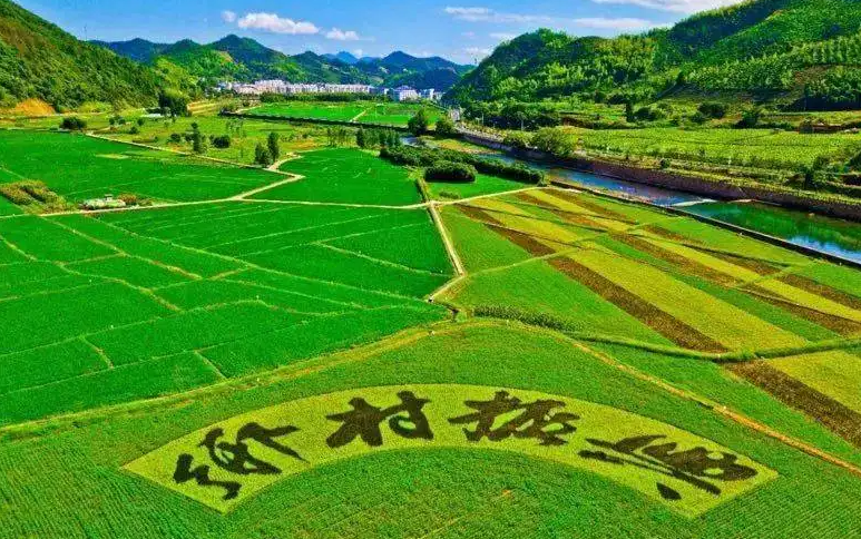 乡村振兴