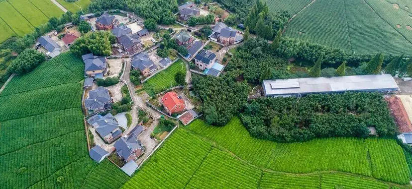 文旅和绿色食品产业