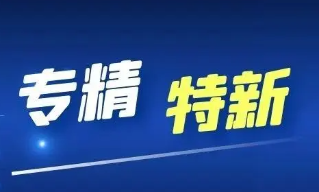 专精特新