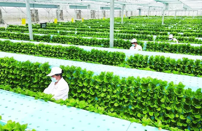安徽省科技特派员创新创业示范基地建设工作指引