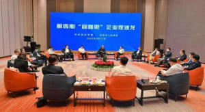安庆市委书记与9名企业家夜话“双生”产业