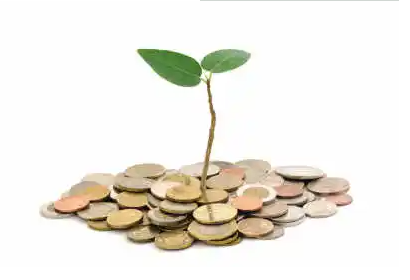 自然科学基金