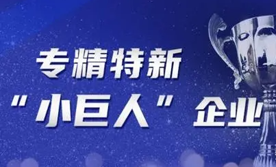 专精特新“小巨人”企业认定标准
