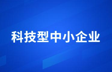 科技型中小企业
