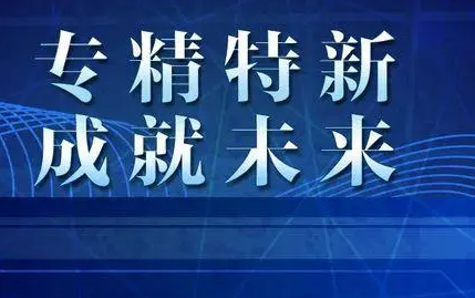 专精特新中小企业