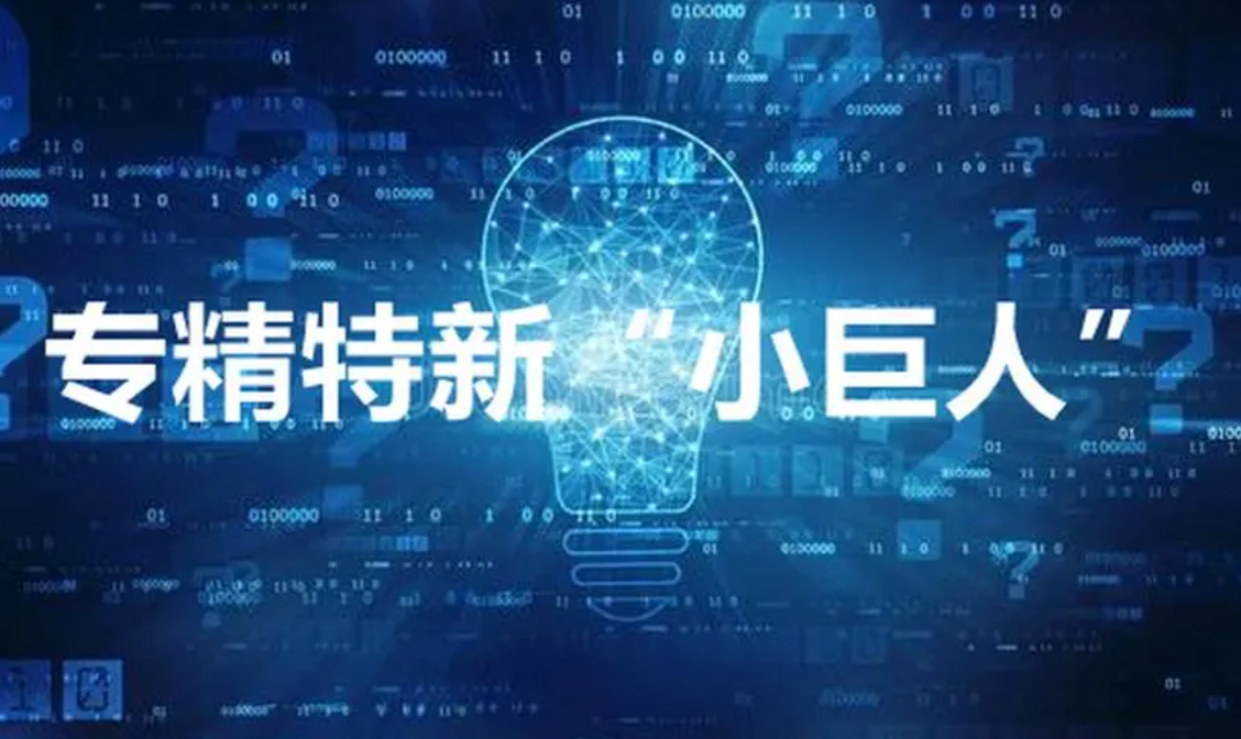 关于开展第四批专精特新“小巨人”企业培育和第一批专精特新“小巨人”企业复核工作的通知