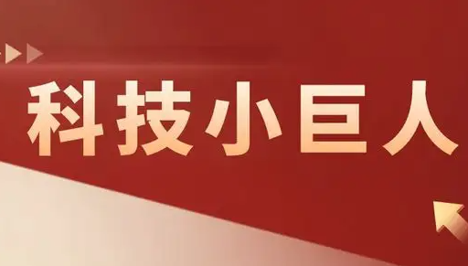 科技小巨人