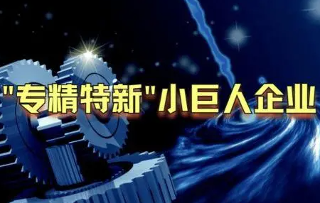 合肥市关于组织开展第四批专精特新“小巨人” 企业申报推荐工作的通知