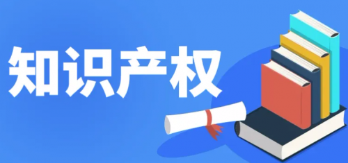 知识产权项目