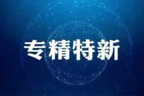 关于公布2022年度芜湖市“专精特新”中小企业名单的通知