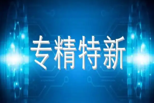 关于印发《合肥市专精特新中小企业倍增培育行动计划 实施细则》的通知