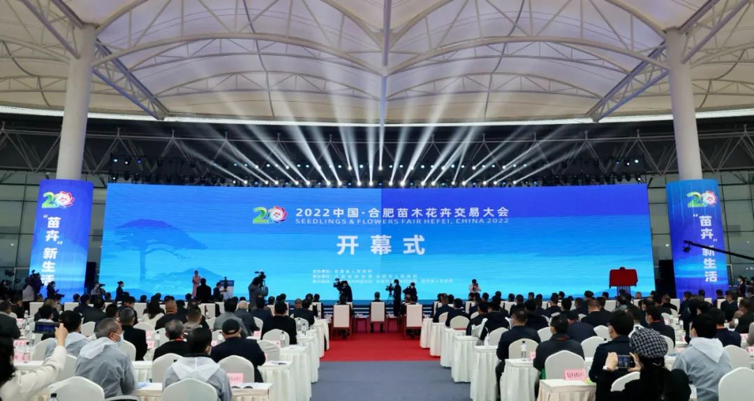 11月19日，2022中国·合肥苗木花卉交易大会在肥西县中国中部花木城拉开帷幕。