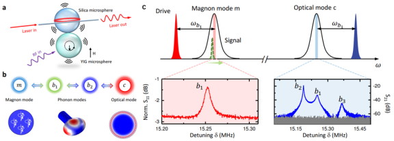 图注：a-b.磁光力混合系统示意图，支持磁子-声子-光子相干耦合；c.微波-光波转换。