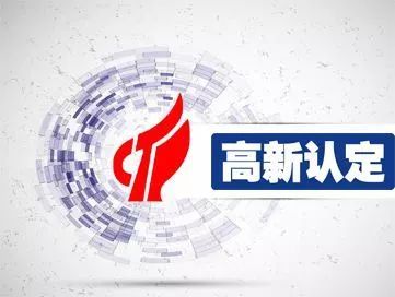 高新技术企业