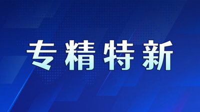 专精特新