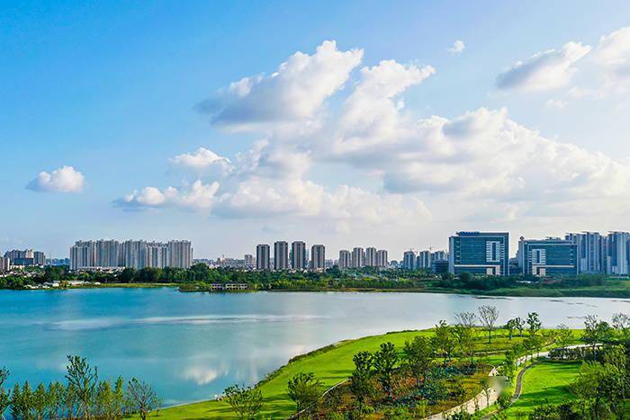 关于印发新站高新区管委会质量奖管理办法的通知