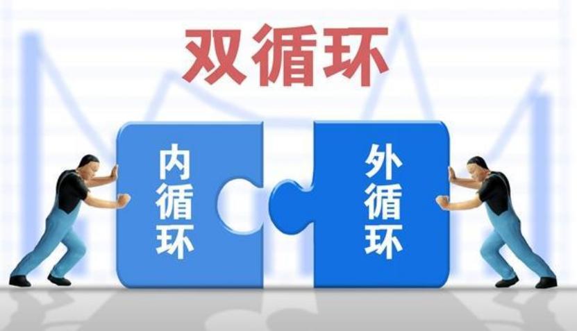什么是双循环？