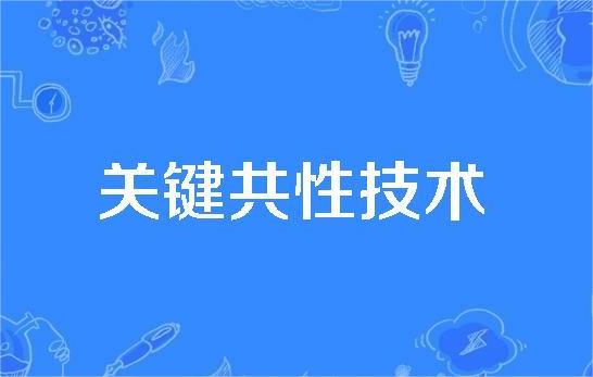 关于下达合肥市2022年度第三批市关键共性技术研发立项项目的通知