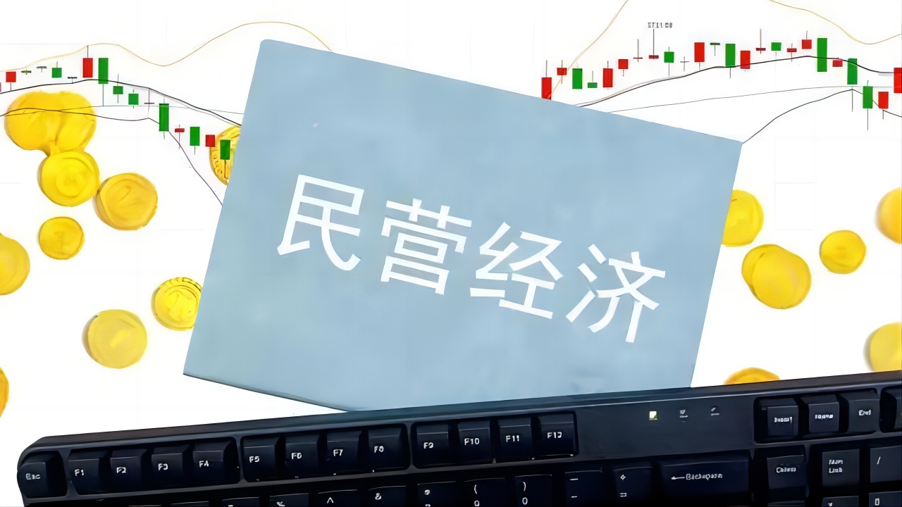 关于实施促进民营经济发展近期若干举措的通知