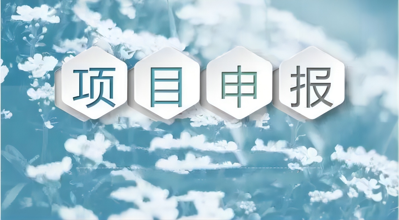 关于组织申报2023年合肥市科技攻关“揭榜挂帅”项目的通知