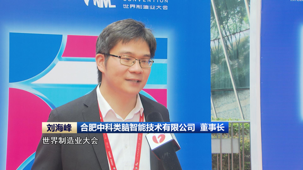 合肥中科类脑智能技术有限公司董事长刘海峰