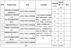 合肥市推动经济高质量发展若干政策实施细则(商务部分)(2022年支持电子商务企业规模发展项目)政策项目审核情况公示表