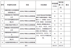 合肥市推动经济高质量发展若干政策实施细则（商务部分）（2022年支持电子商务企业规模发展项目）政策项目审核情况公示表