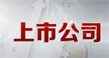 上市公司百强