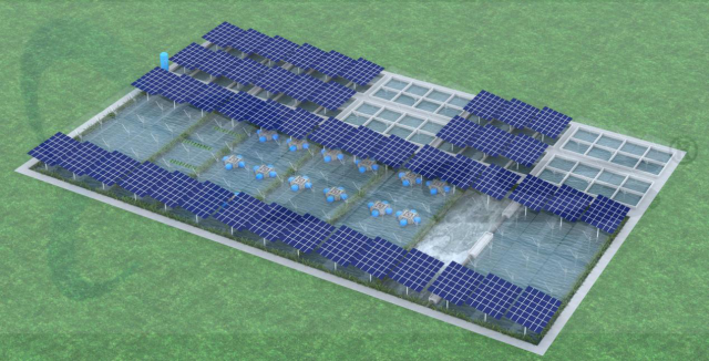 广东省农科院水产所设计的新型渔光一体养殖模式效果图