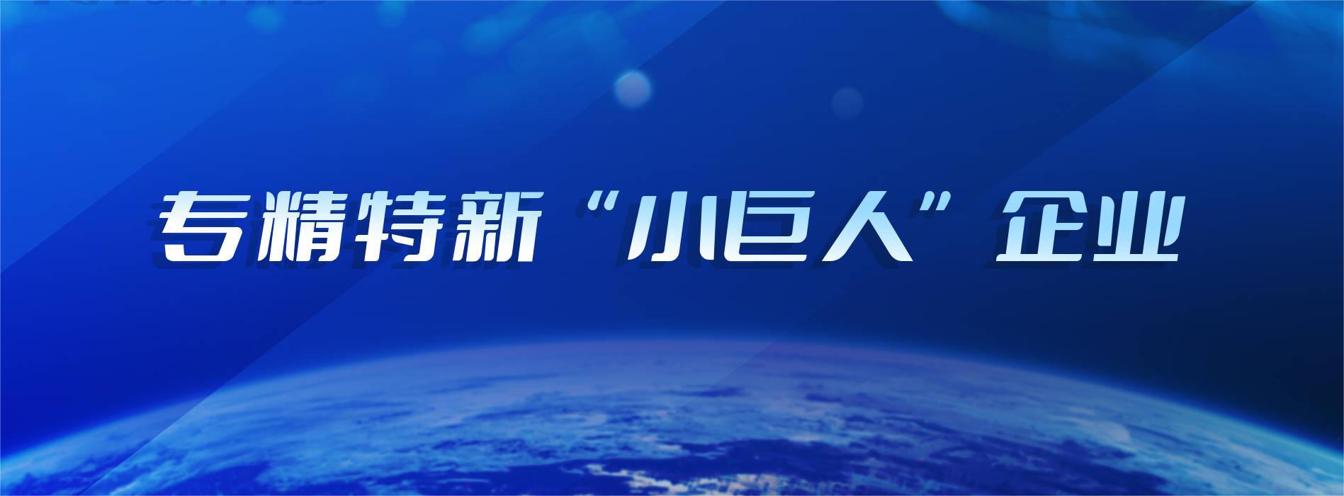 专精特新小巨人企业