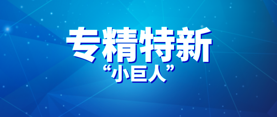 关于开展2024年专精特新“小巨人”申报材料初审的通知