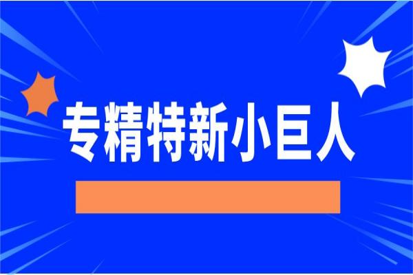 合肥市关于组织开展第六批专精特新“小巨人”企业申报和第三批专精特新“小巨人”企业复核工作的通知