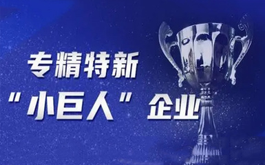 蚌埠市关于第六批专精特新“小巨人”企业申报和第三批专精特新“小巨人”企业复核拟推荐名单的公示