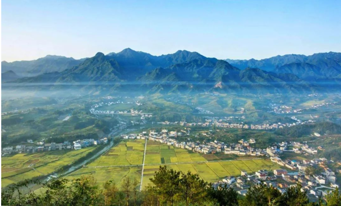 庭院经济