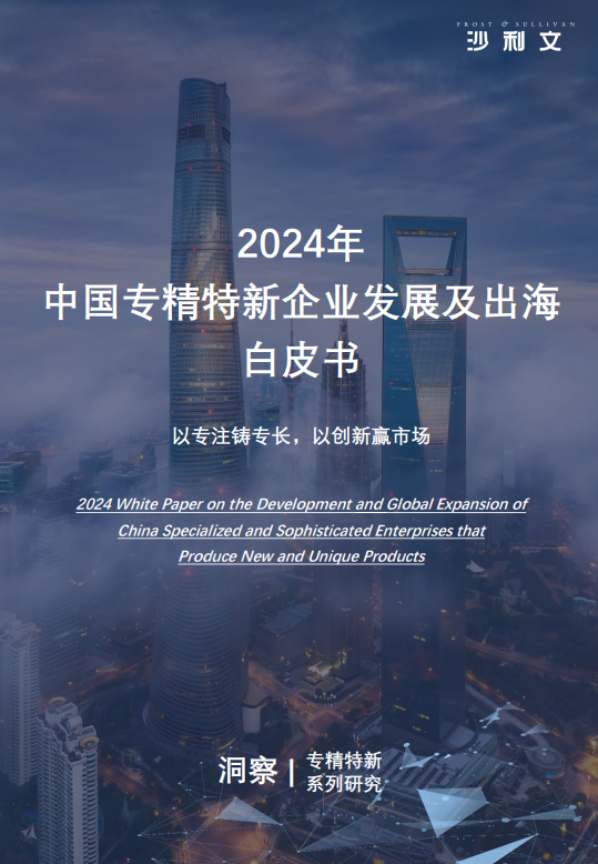 2024年中国专精特新企业发展及出海白皮书
