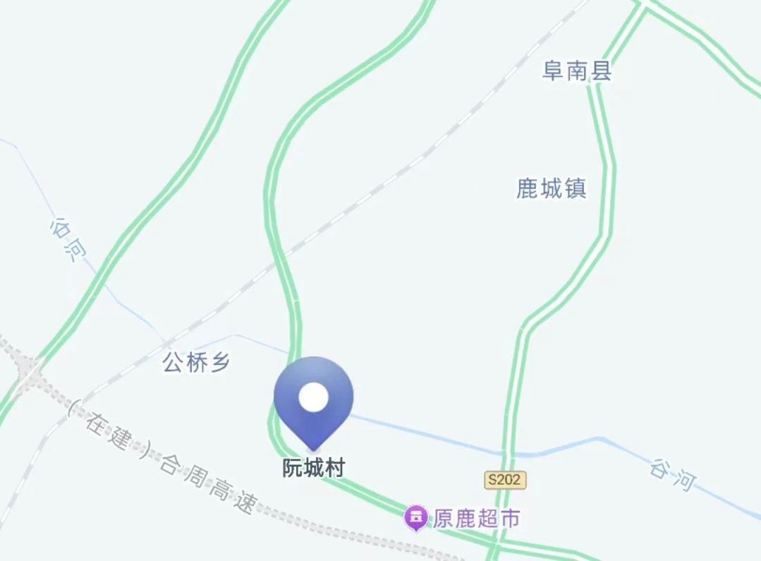 阮城村位置