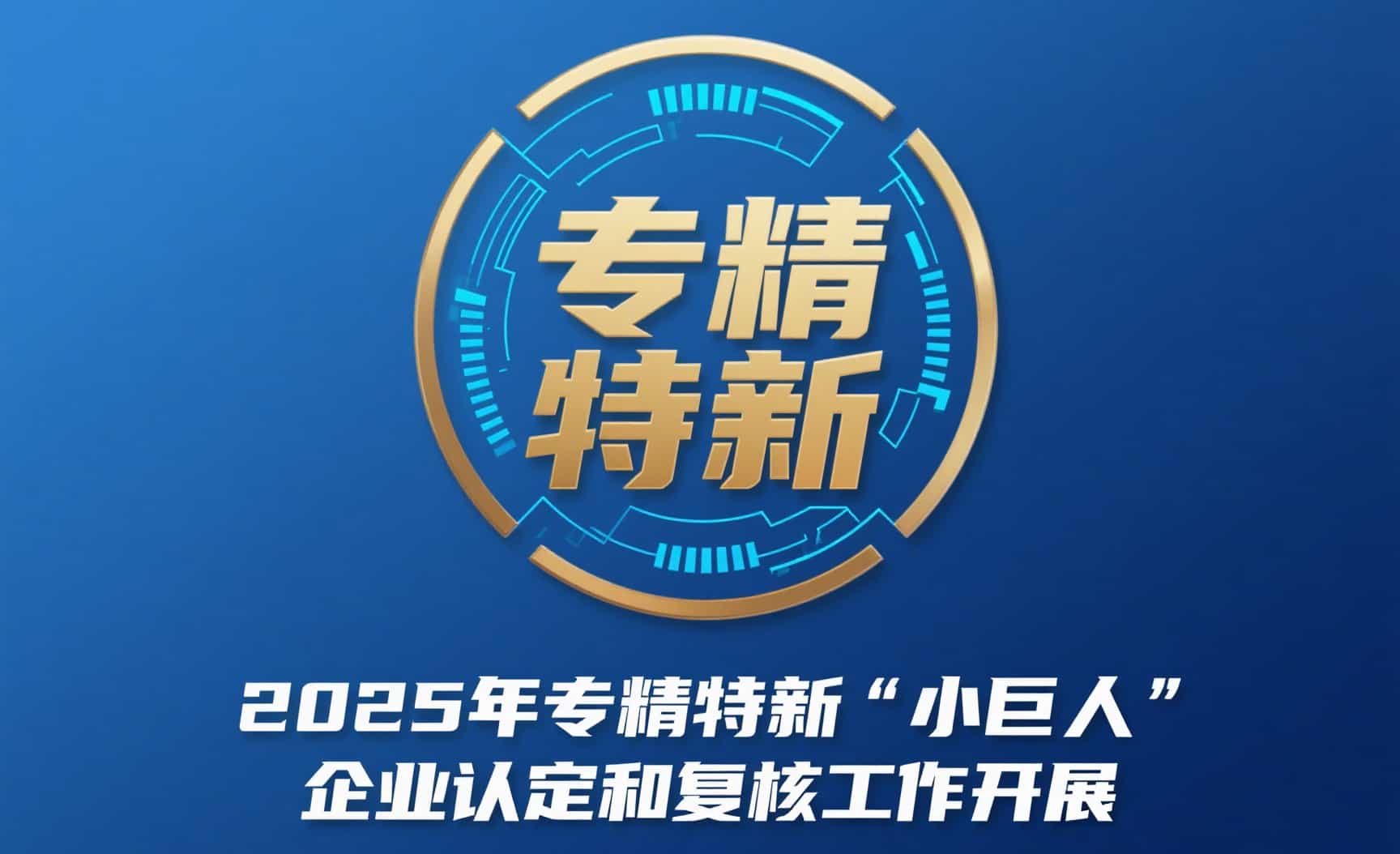 关于开展2025年专精特新“小巨人”企业认定和复核工作的通知