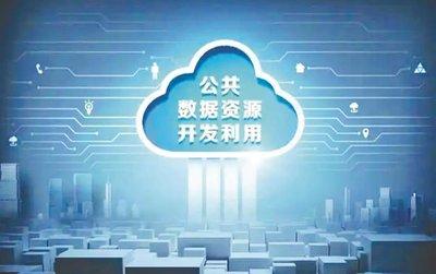 公共数据资源