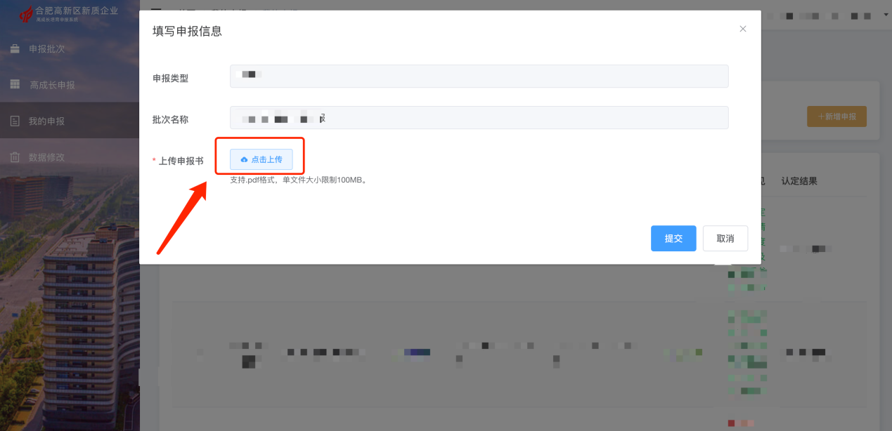 线上申报操作流程